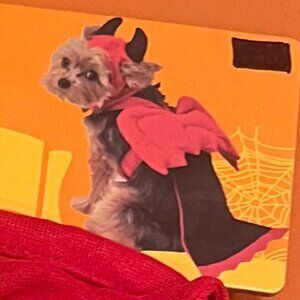 Devil Halloween Costume - Pet New York